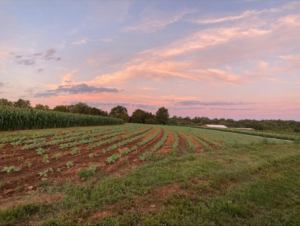 Alstede Farms in NJ: Sustainably-Fun Activities for All