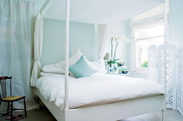 Helpful Hues: Color Efficiency & Trends