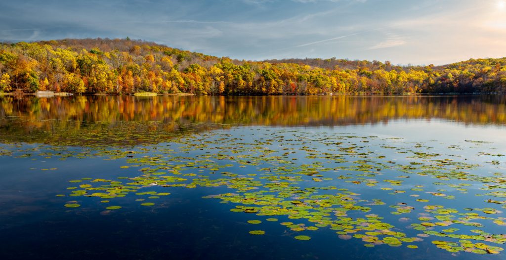 Introducing the 5 Best State Parks in NJ VUE magazine