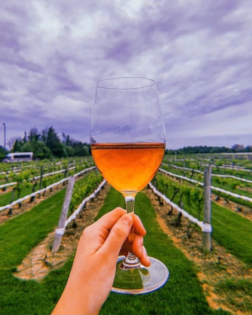 Ten of the Best Wineries in NJ VUE magazine