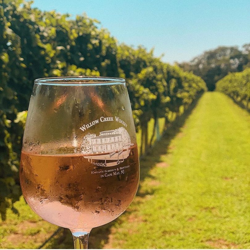 Ten of the Best Wineries in NJ VUE magazine