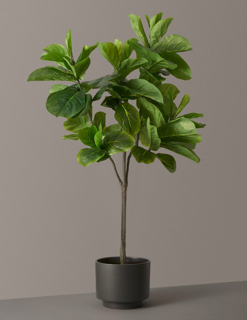 The-sill Faux-fiddle-leaf-fig Variant Large Prospect Black (1) - Vue 